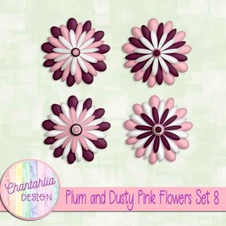 Free plum and dusty pink flowers set 8