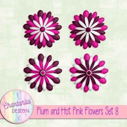 Free plum and hot pink flowers set 8