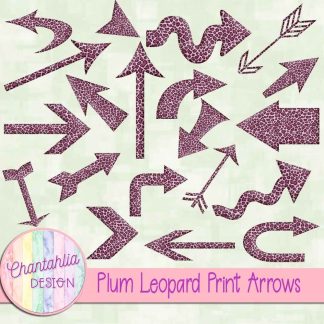Free plum leopard print arrows