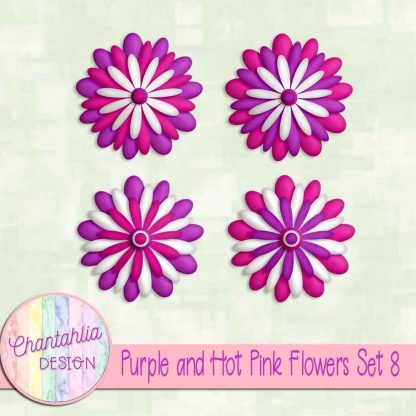 Free purple and hot pink flowers set 8