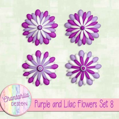 Free purple and lilac flowers set 8