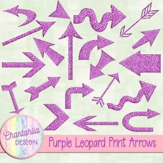 Free purple leopard print arrows