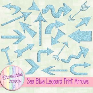 Free sea blue leopard print arrows