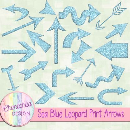 Free sea blue leopard print arrows