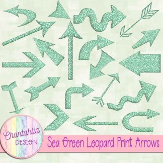 Free sea green leopard print arrows