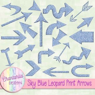 Free sky blue leopard print arrows