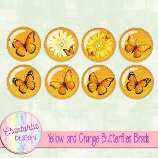 Yellow and Orange Butterflies Brads