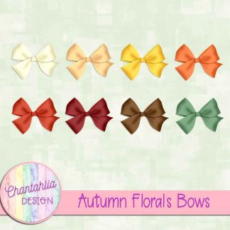 Free bows in an Autumn Florals theme