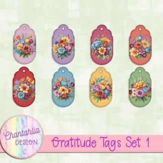 Gratitude Tags Set 1