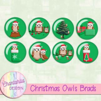 Christmas Owls Brads