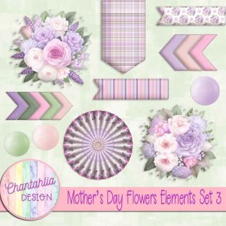 Mothers Day Flowers Elements Set 3