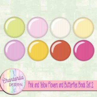 Pink and Yellow Flowers and Butterflies Brads Set 2