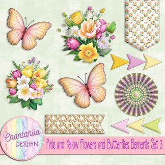 Pink and Yellow Flowers and Butterflies Elements Set 3