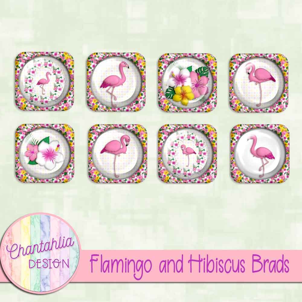 Free brads in a Flamingo and Hibiscus theme