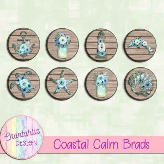 Coastal Calm Brads