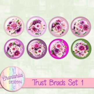Trust Brads Set 1