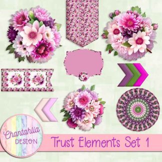 Trust Elements Set 1