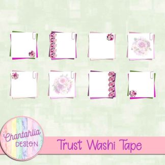 Trust Notes