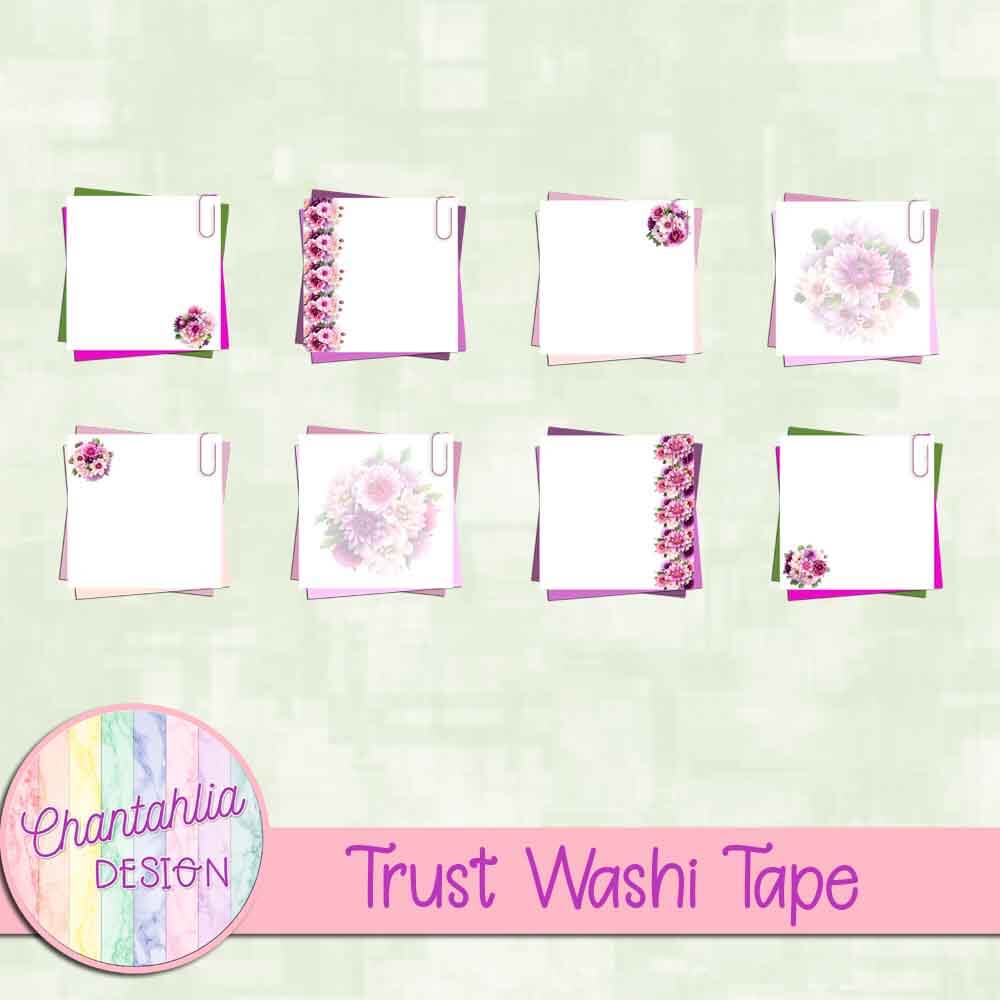 Trust Notes