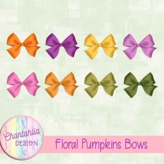 Floral Pumpkins Bows