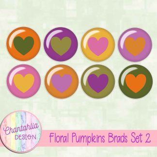 Floral Pumpkins Brads Set 2