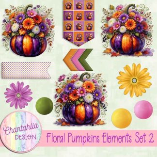 Floral Pumpkins Elements Set 2