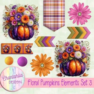 Floral Pumpkins Elements Set 3