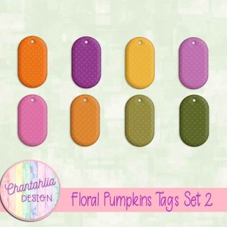 Floral Pumpkins Tags Set 2