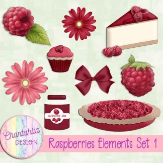 Raspberries Elements Set 1