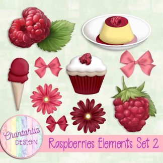 Raspberries Elements Set 2