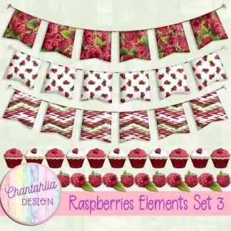 Raspberries Elements Set 3